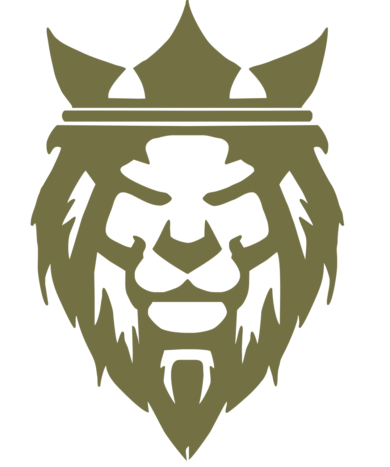 Aslan Ventures INC